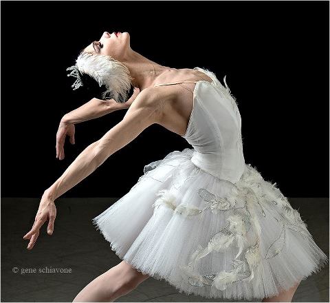 natalia-osipova-session-swan-lake
